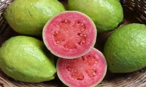 La guayaba, rica en vitaminas, ayuda a mejorar la diabetes y la gastroenteritis