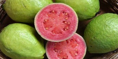 La guayaba, rica en vitaminas, ayuda a mejorar la diabetes y la gastroenteritis