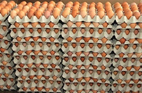 Dominicanos en Nueva York dejan de comprar huevos