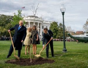 Desaparece el roble que Trump y Macron plantaron en la Casa Blanca