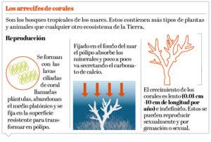 info-arrefices-coral