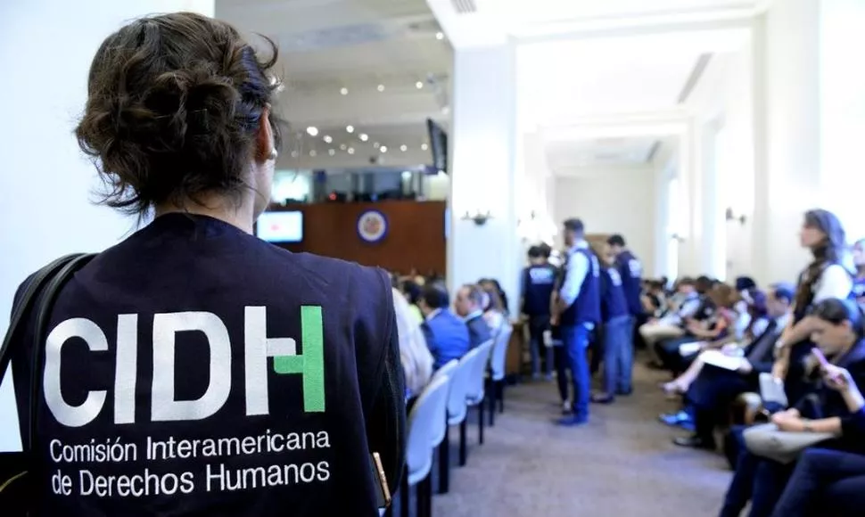 Solicitan a la CIDH que se pronuncie contra sentencia del TC que excluye la materia ambiental del derecho de amparo