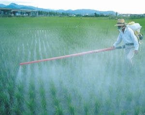 La sanidad vegetal es reto de  Agricultura