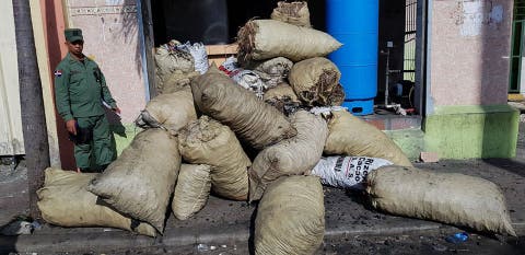 Decomisan cientos de sacos de carbón durante operativo