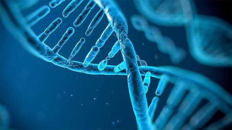 Estudio indica que las diferencias genéticas entre humanos son ínfimas