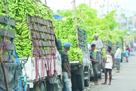Productores banano de Jimaní buscan diálogo con Haíti