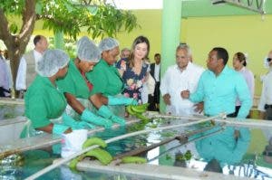 Reina Letizia recibe el cariño dominicano al visitar cooperativa de banano