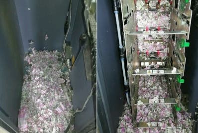 Insólito!!! Ratas dañaron 15 mil euros de un cajero automático