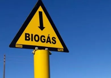 Entidades buscan producir biogás