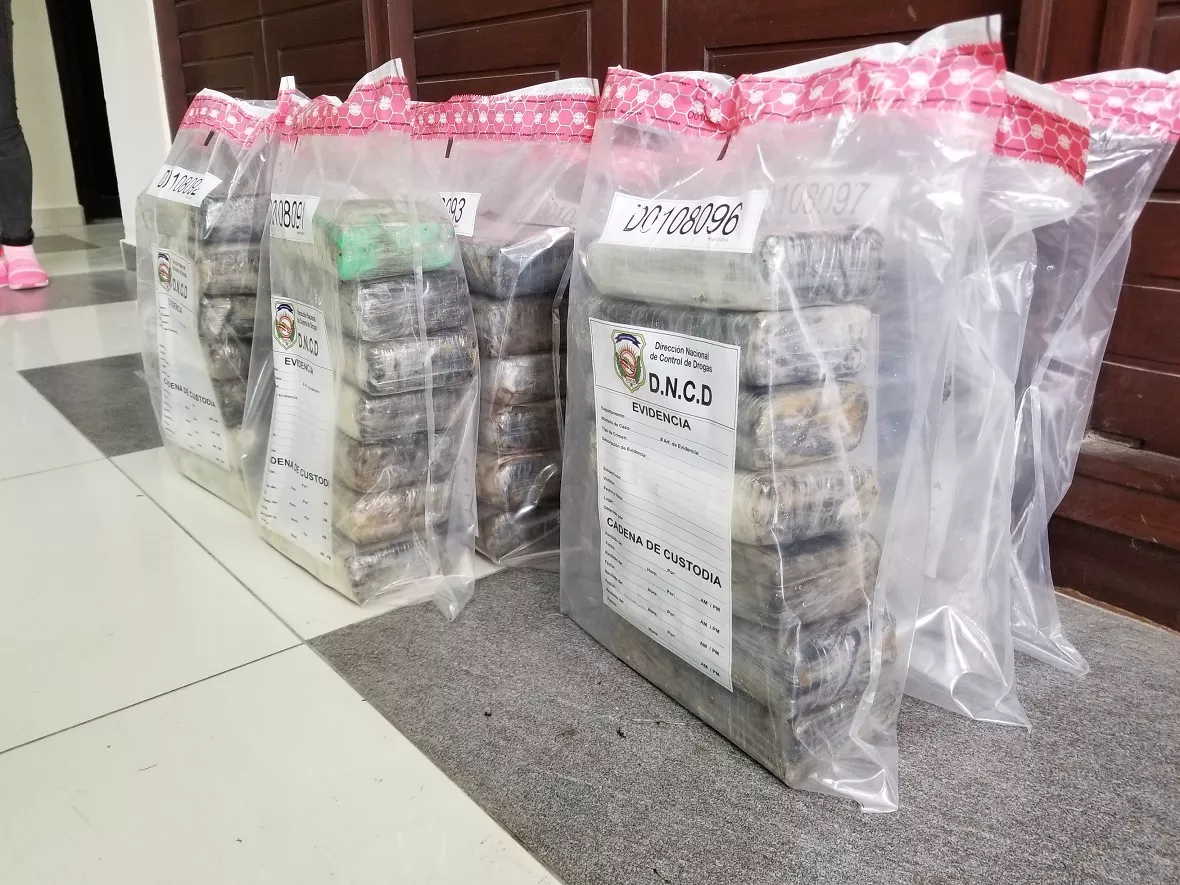 60-paquetes-incautado-por-dncd