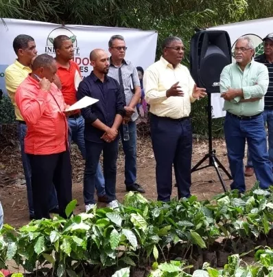 El Gobierno impulsa  la siembra de café