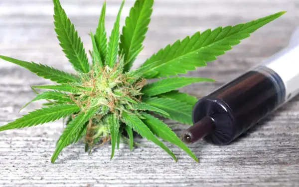 cbd-e1496778648752