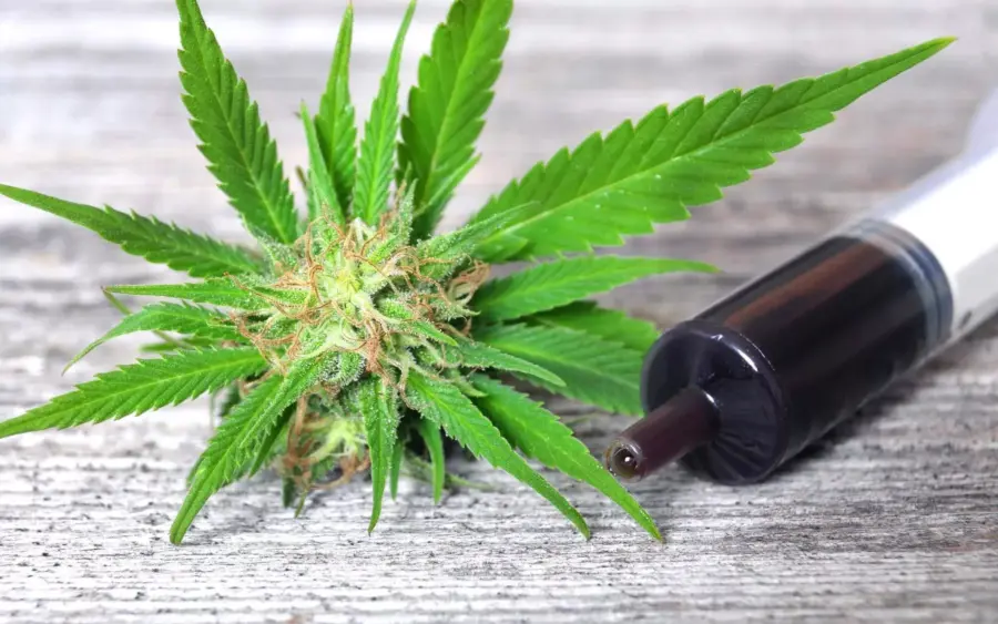 cbd-e1496778648752