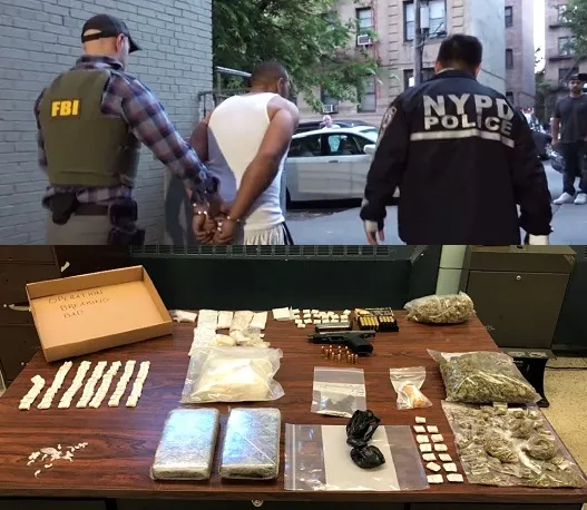 FBI apresa narcotraficantes hispanos en El Bronx e incautan 300 mil dólares