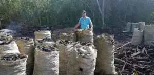 Decomisan más de 13 hornos usados para fabricación de carbón vegetal en los últimos meses