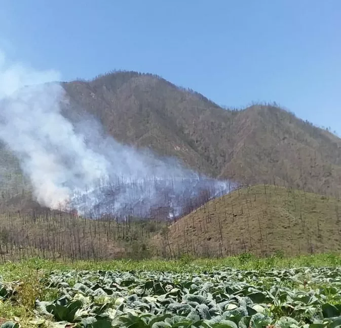 Incendio forestal afecta zona de Valle Nuevo