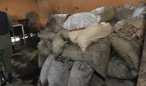Medio Ambiente incauta 1500 sacos de carbón y destruye 87 hornos