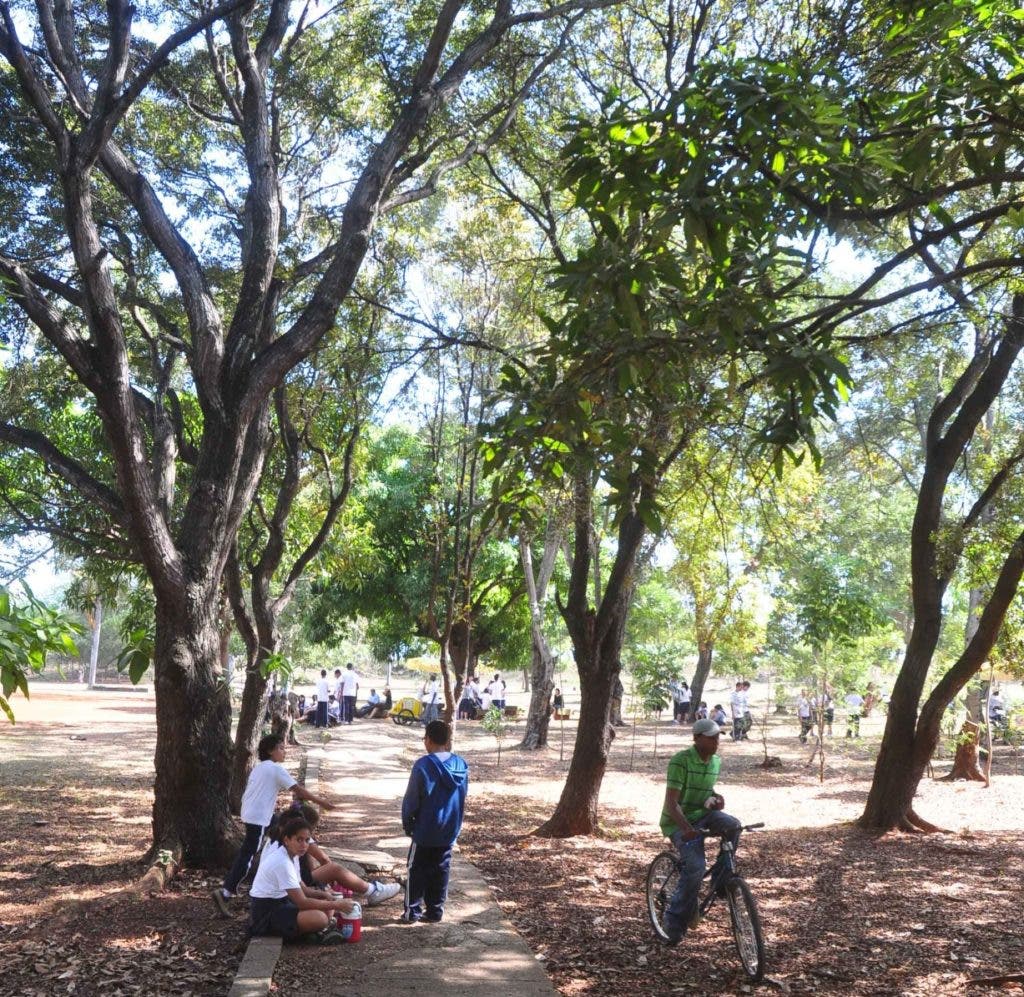 País - Alrededores del Parque Mirador Sur. Recorrido para verificar la zonas arborizadas del lugar.
Ariel Díaz-Alejo / Periódico Hoy / 28 de enero del 2011.