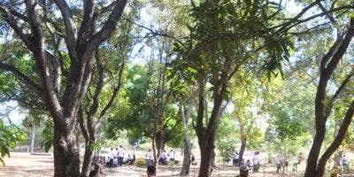 UASD rechaza propuesta de recortar parque Mirador del Sur para ampliar avenida Anacaona