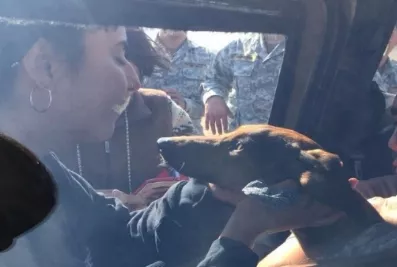 Perro salchicha sobrevive en el desierto