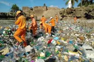 Realizan labores de limpieza para recoger toneladas de basura en Malecón de Santo Domingo