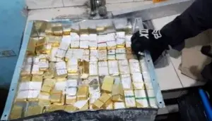 Incautan en Colombia 54 kilos de oro a la banda criminal Clan del Golfo