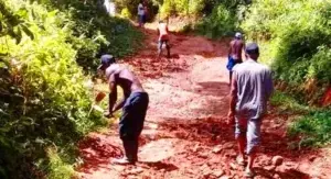 Ante abandono de las autoridades, agricultores de Rancho Ambrosio arreglan a mano caminos vecinales