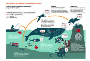 Sumideros de plásticos afectan organismos marinos y terrestres