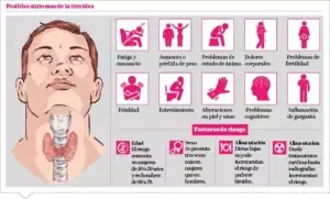 Trastornos de la tiroides afecta 10 % de la población mundial
