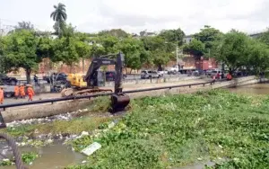 Comienzan a retirar cúmulo de lilas sobre el río Ozama en alrededores Puente Flotante