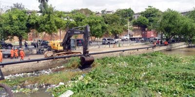 Comienzan a retirar cúmulo de lilas sobre el río Ozama en alrededores Puente Flotante