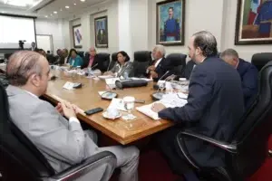 Comisión solicitará extensión del plazo para rendir informe sobre Ley de Partidos