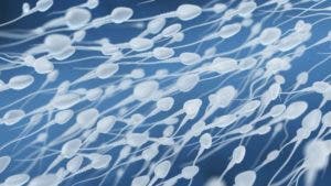 5 curiosidades sobre el semen que quizás no sabías (incluyendo que se llegó a pensar que transportaba adultos pequeñitos)