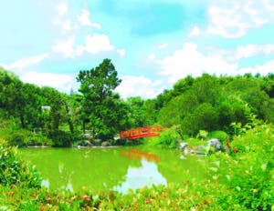 Jardín Botánico exhibirá  la herencia de los taínos