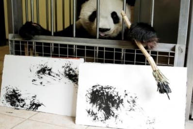 Un panda que dibuja y sus obras se venden