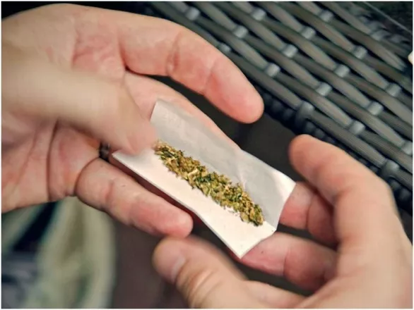 dominicanos-ny-opuestos-regularicen-uso-marihuana-para-adultos