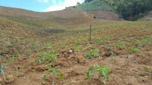 SOS Ambiente interpone acción de amparo por Valle Nuevo