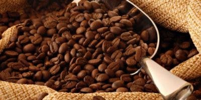 Café puede ser salvación para preservación de ríos y prevenir sequías