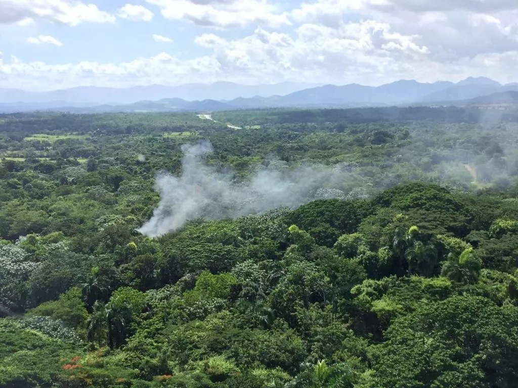 Muere el cardiólogo Douglas Burnigal y empresario tras sufrir accidente aéreo al norte del Higüero