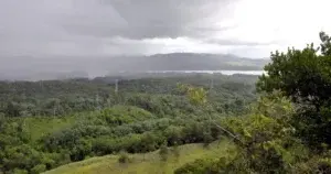 Medio Ambiente rechaza permiso para explotación de Loma Miranda