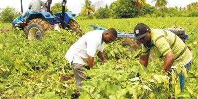 Gobierno promete mejorías y cambios al sector agropecuario