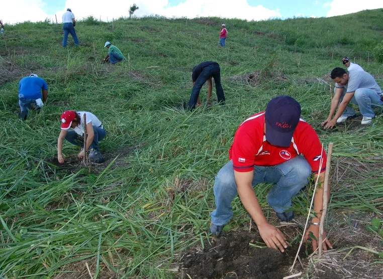 Reforestacion, plan quisqueya verde. El Nacional/ Fe Reforestacion, plan quisqueya verde. El Nacional/ Fe