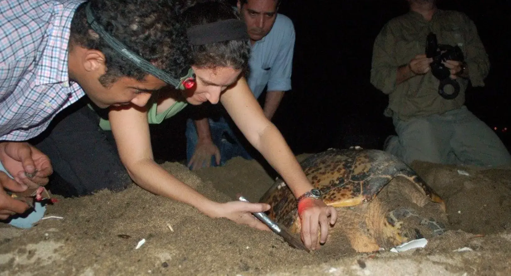 Los biólogos:  al servicio y defensa de biodiversidad