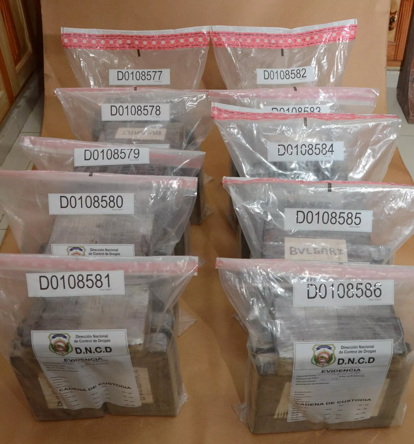 foto-49-kilos-de-cocaina-incautado-por-dncd-1