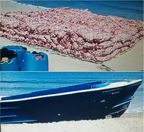Abandonan yola con cargamento ilegal de ajo procedente de Haití en playa Cambiaso de Puerto Plata