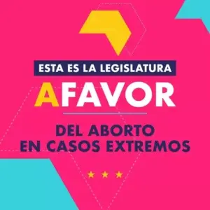 Considera el aborto no debe estar incluido en el Código Penal Dominicano