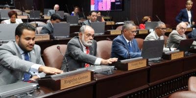 Diputados aprueban ley que obliga instalar detectores de metales en instituciones