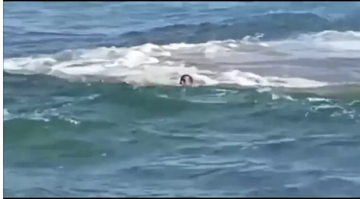 Video: Hombre se lanza al mar cuando era perseguido por miembros de la Policía en Nagua