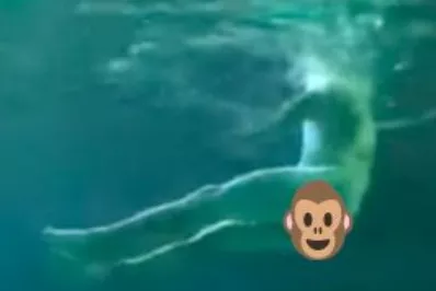 24_cartelera_19_1p02