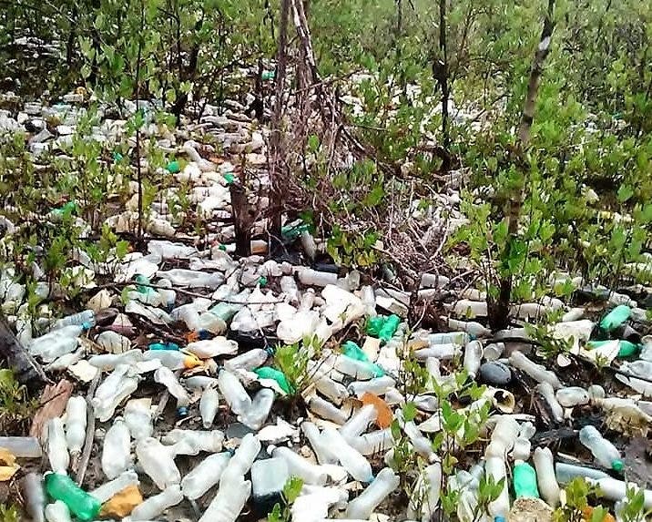 Ministerio de Medio Ambiente inicia limpieza de manglares en la bahía de Luperón